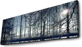 Vászonkép, 30×90 cm – 3090DACT-37