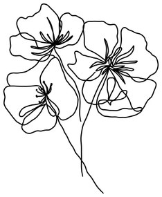 Poszter 29x41 cm Black Poppy – Veronika Boulová