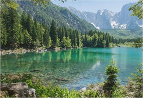 Fotótapéta Flizelin Dekoratív Hálószoba Zöld tó 152x104