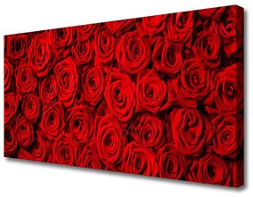 Vászonfotó Roses A Wall 100x50 cm
