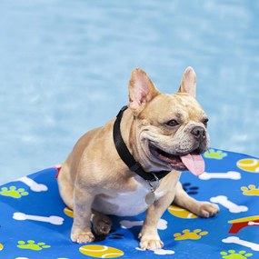 Matrac kisállatoknak 156 x 112 cm