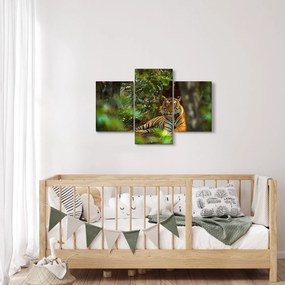 Pihenő tigris képe (90x60 cm)