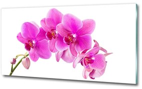 Egyedi üvegkép Rózsaszín orchidea osh-67673367