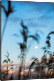 Vászonkép Természet Mező Rét Napfelkelte 80x120