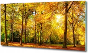 Fotótapéta üvegfalra Ösvény a réten 100x70