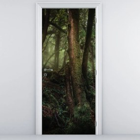 Fotótapéta ajtóra - Titokzatos erdő (95x205cm)