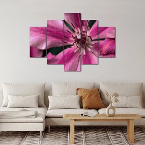 Rózsaszín flamingóvirág képe (150x105 cm)