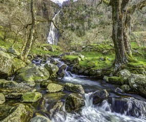 Poszter 60x50cm Aber 2 vízesés, Assaf Frank