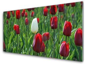 Üvegkép Tulipán virágok természet 100x50 cm 2 fogas