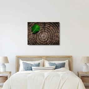 Kép egy levél a fatörzsön (üvegen) (70x50 cm)