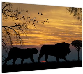 Safari képe (üvegen) (70x50 cm)