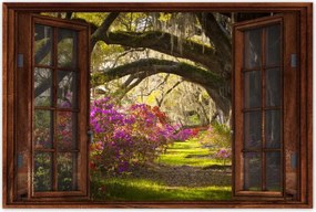 Poszterek 90x60 Tölgyfa sikátor