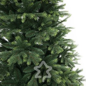 Himalájai lucfenyő 210 cm