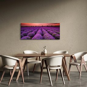 Kép - Levendula mező (120x50 cm)
