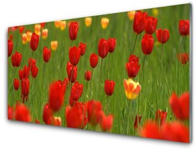 Fali üvegkép üzem tulipán 100x50 cm 2 fogas