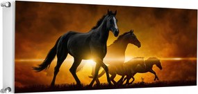 Mágneses Radiátorszőnyeg 140x60 Lovak Fotótapéta