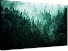 Vászonkép 90x60 Erdő Köd Tájkép Utazás