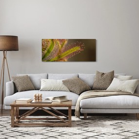 A növény képe (120x50 cm)