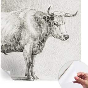 Öntapadós Dekoratív Fotótapéta Hálószobába Bika ceruza 250x250 cm