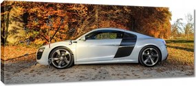 Falióra 100x40 fehér Audi Tt