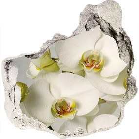 3d-s lyuk vizuális effektusok matrica Fehér orchidea nd-p-67521473