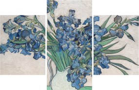 Kép - Vincent van Gogh, Irises, reprodukciók (90x60 cm)