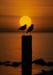 Poszter 59,4x84,1cm Beszélgetések alkonyatkor