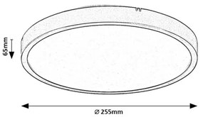 Rabalux 71425 - LED Fürdőszobai mennyezeti lámpa ALENZO LED/12W/230V IP44 fehér
