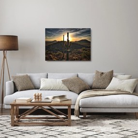 Kép - kaktuszok a napon (üvegen) (70x50 cm)
