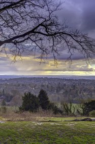 Poszter 53x81cm Reigate Hill 2, Assaf Frank