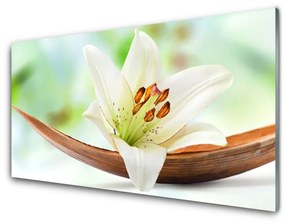 Akril üveg kép Természet virág növény 100x50 cm