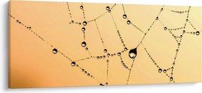 Egy harmatos pókháló képe (120x50 cm)