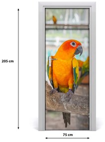 Poszter tapéta ajtóra Papagáj 75x205 cm