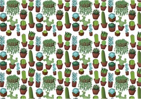 Flizelin fotótapéta kaktuszok és pozsgások cserépben 400x280 +ragasztó