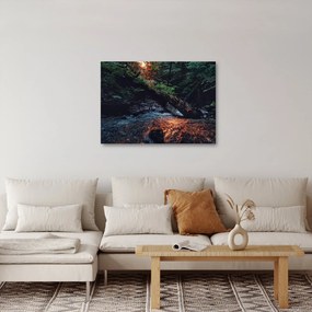 Hegyi folyó képe (70x50 cm)