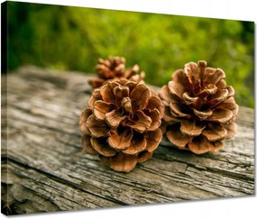Vászonkép 40x30 Tobozok a kertben