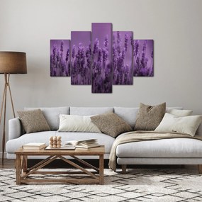 Kép - Levendula (150x105 cm)