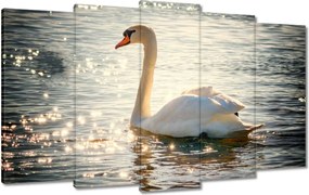 Vászonkép 100x60 Hattyú a tavon