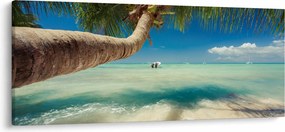 Kép - Tiszta tenger pálmafával (120x50 cm)