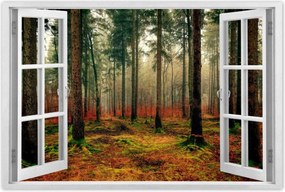 Poszterek 60x40 Erdei táj Kilátás