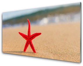 Üvegkép Starfish Beach Art 100x50 cm 2 fogas