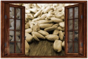 Poszterek 90x60 Hántolt napraforgó