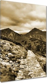 Vászonkép 80x120 Tátra Lengyel hegyek Kilátás