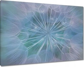 Vászonkép 100x70 Pitypang Virág Virágok