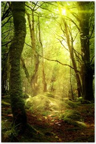 Poszterek 60x90 Varázslatos erdő Tájkép