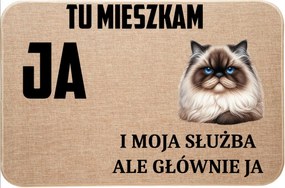 Lenvászon Lábtörlő Macskával Itt Lakom Én És A Szolgálatom, De Főleg Én 1