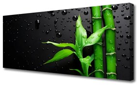 Vászonkép falra Bambusz levelek Plant 125x50 cm