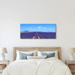 Kép - Levendula mező (120x50 cm)
