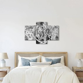 Kép - Fagyott levelek, fekete-fehér (90x60 cm)