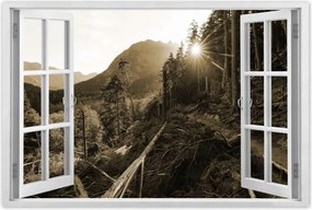 Poszterek 60x40 Szépia tájkép Szépia